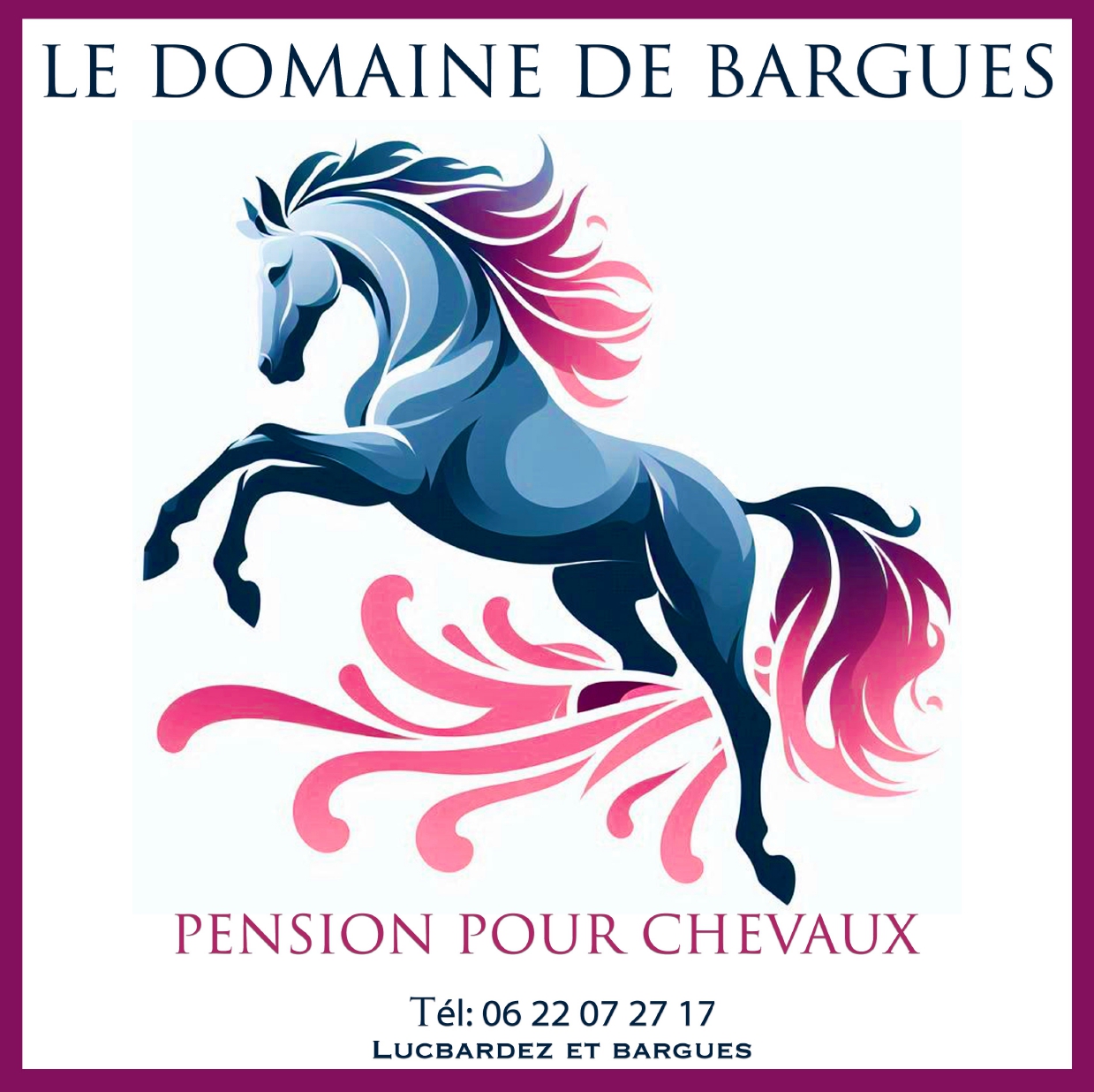 Logo client